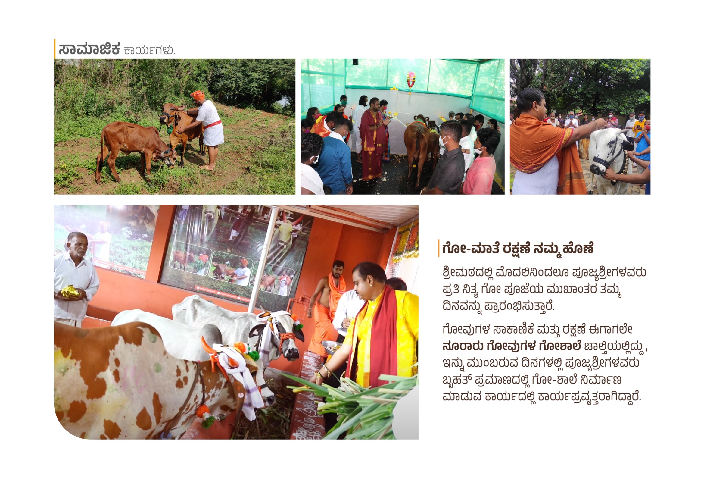 Social Service Activity